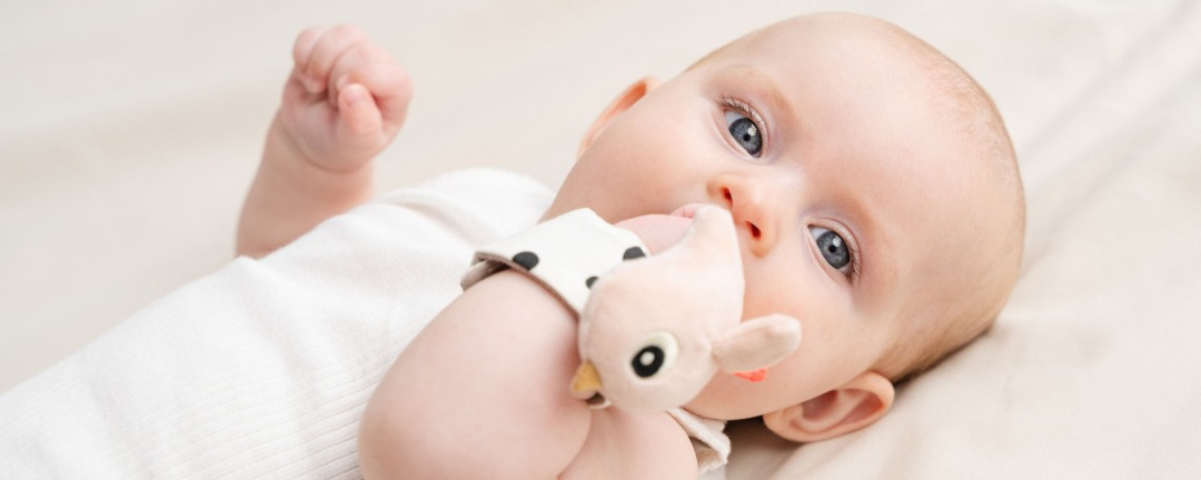 brand cover image